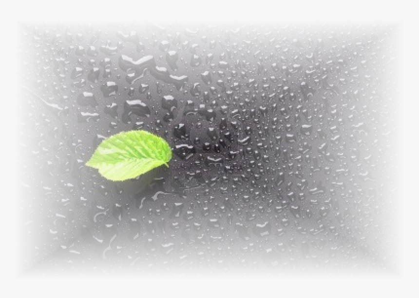 Lluvia - Macro Photography, HD Png Download, Free Download