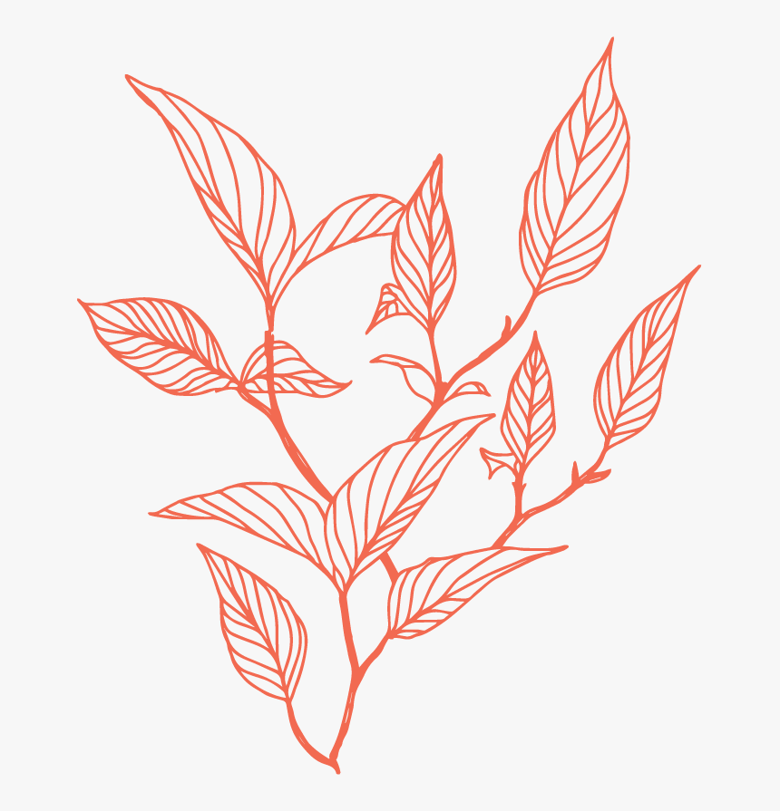 Leaves - Illustration, HD Png Download, Free Download