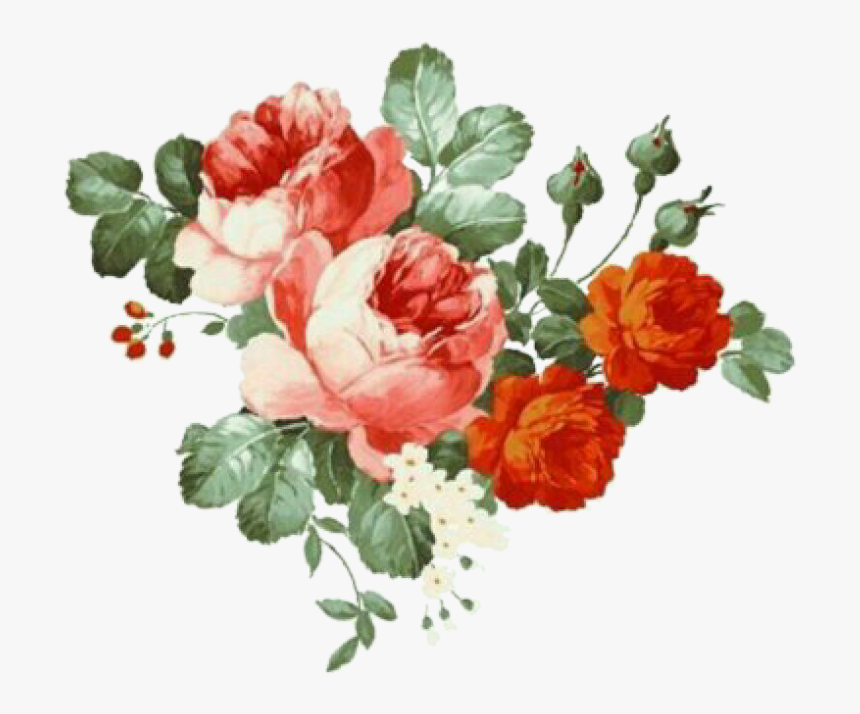 Image By 🥡 - Transparent Background Flower Illustration Png, Png Download, Free Download