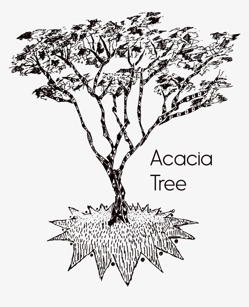 T Shirt Acacia Design, HD Png Download, Free Download