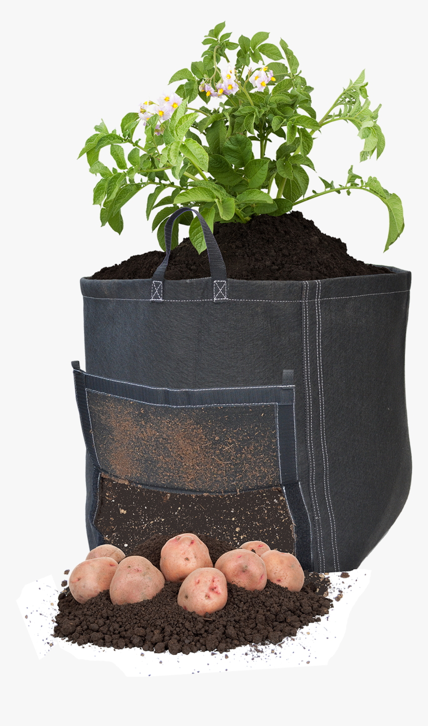 Geopot Fabric Pots, HD Png Download, Free Download