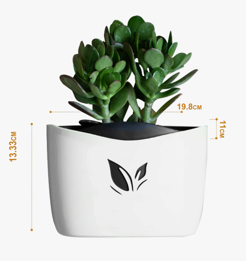 Nail Free Hanging Plant Pots, White - Flowerpot, HD Png Download, Free Download