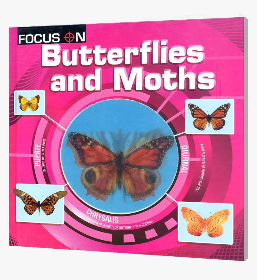 Butterflies And Moths Book, HD Png Download, Free Download