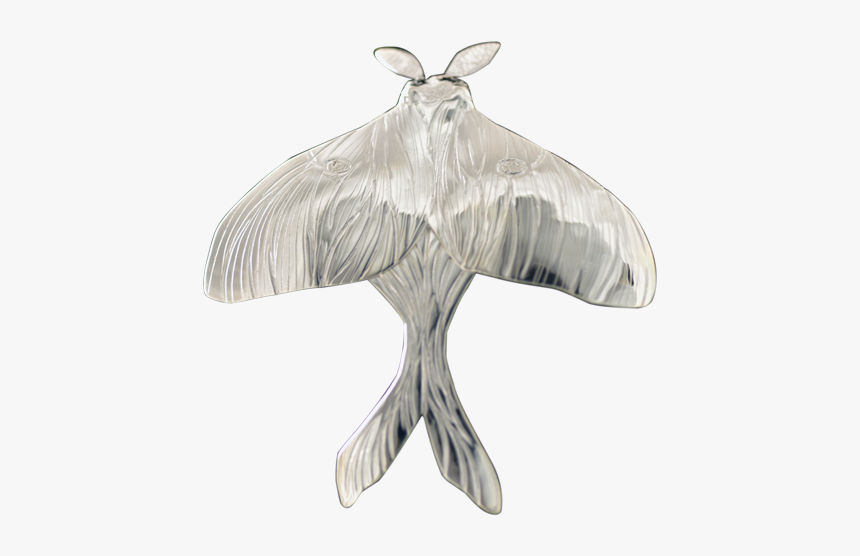 Moths Png, Transparent Png, Free Download