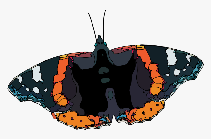 Butterfly,cynthia Subgenus,emperor Moths - Moth, HD Png Download, Free Download