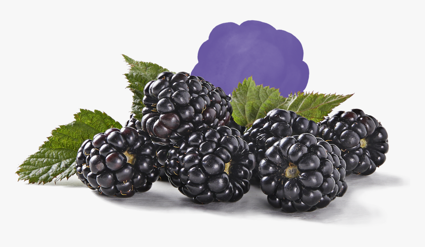 Blackberry, HD Png Download, Free Download