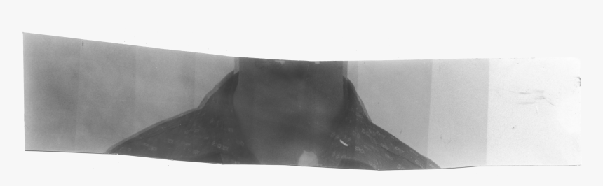 Whale, HD Png Download, Free Download