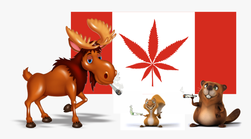 Stickernut And Marijuana Stickers In Canada - Cartoon, HD Png Download, Free Download