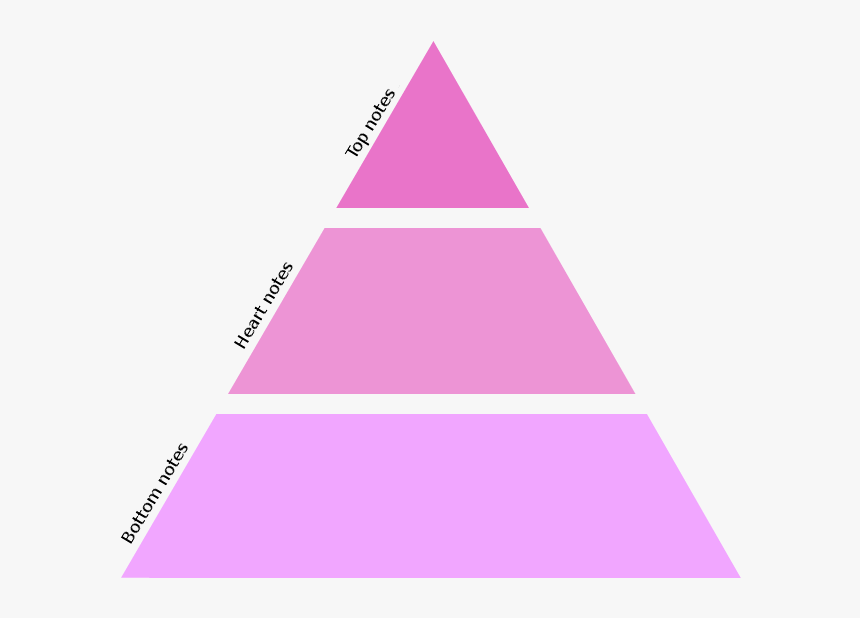 The Olfactive Pyramid - Pyramide Olfactive Du Parfum, HD Png Download, Free Download