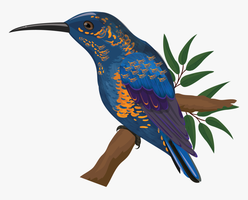 Png Colorful Bird, Transparent Png, Free Download
