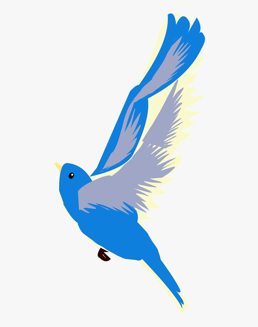 Bird Blue Bird Flying Free Photo - Passaro Azul Png, Transparent Png, Free Download