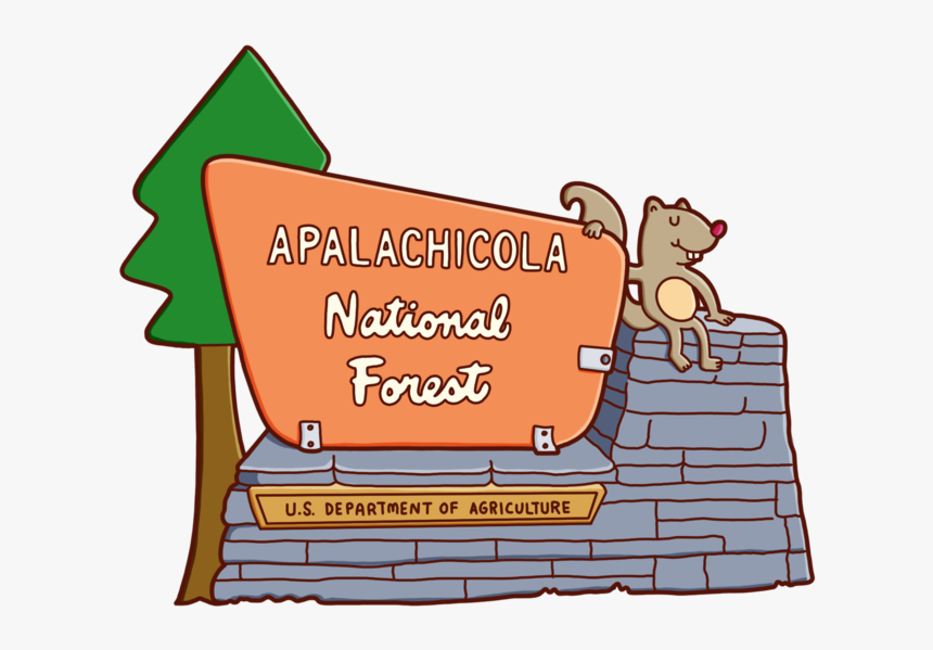 National Forest, HD Png Download, Free Download