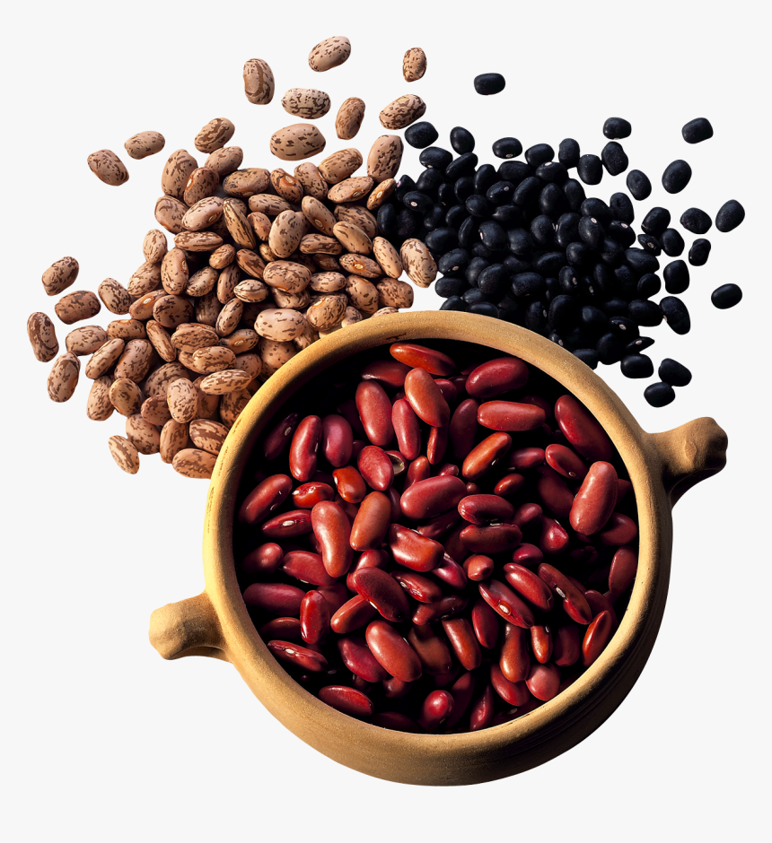 Kidney Beans Png - Клипарт Фасоль, Transparent Png, Free Download