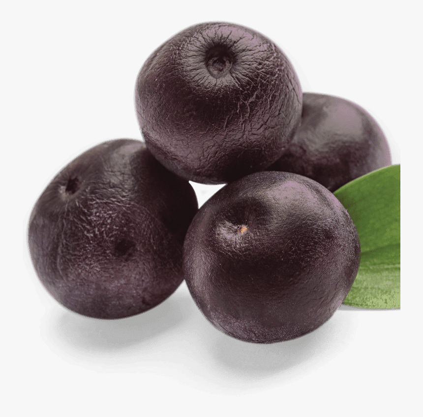 Bilberry, HD Png Download, Free Download