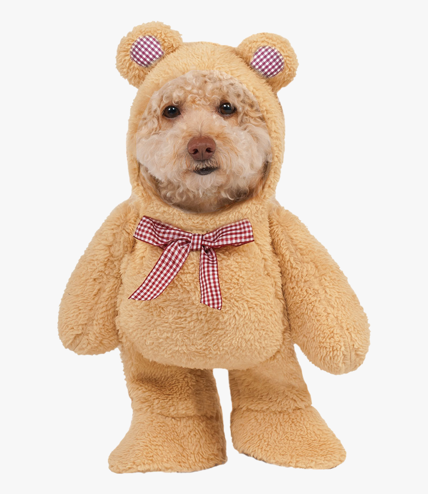 Teddy Bear Dog Costume, HD Png Download, Free Download