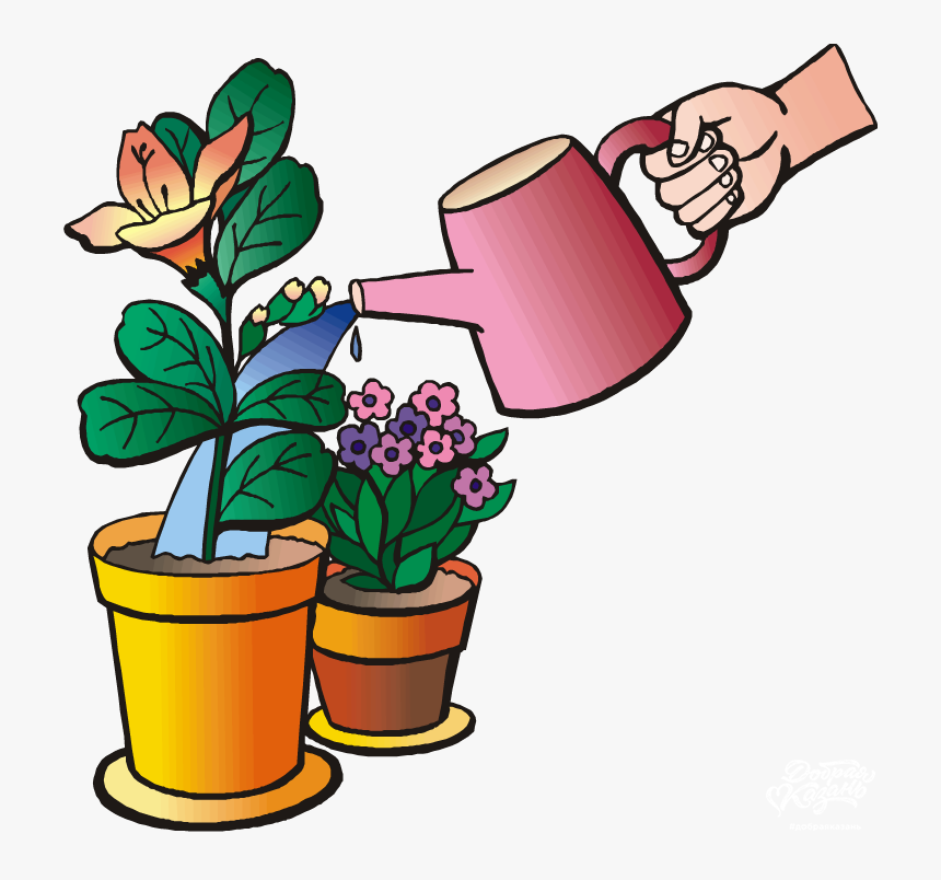 Water Plants Clip Art - Please Water My Plants, HD Png Download, Free Download
