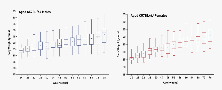 Aged B6 - Block Size Vs Data Rate, HD Png Download, Free Download