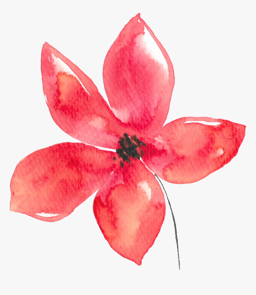 Hand Painted Five Petals Red Flower Watercolor Transparent - Acuarela Flor Watercolor Png, Png Download, Free Download