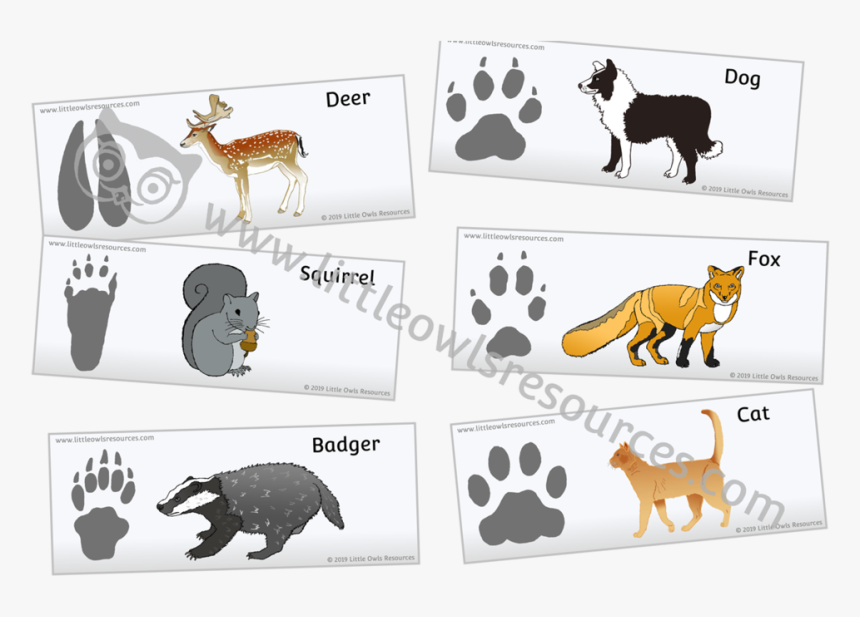 Animal Footprints In The Snow Cards - Bovine, HD Png Download, Free Download
