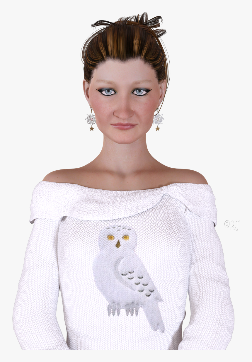 Snow Owl Png, Transparent Png, Free Download