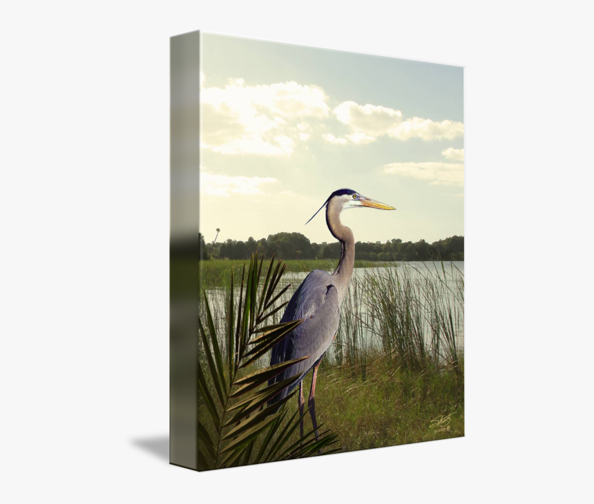 Great Blue Heron, HD Png Download, Free Download