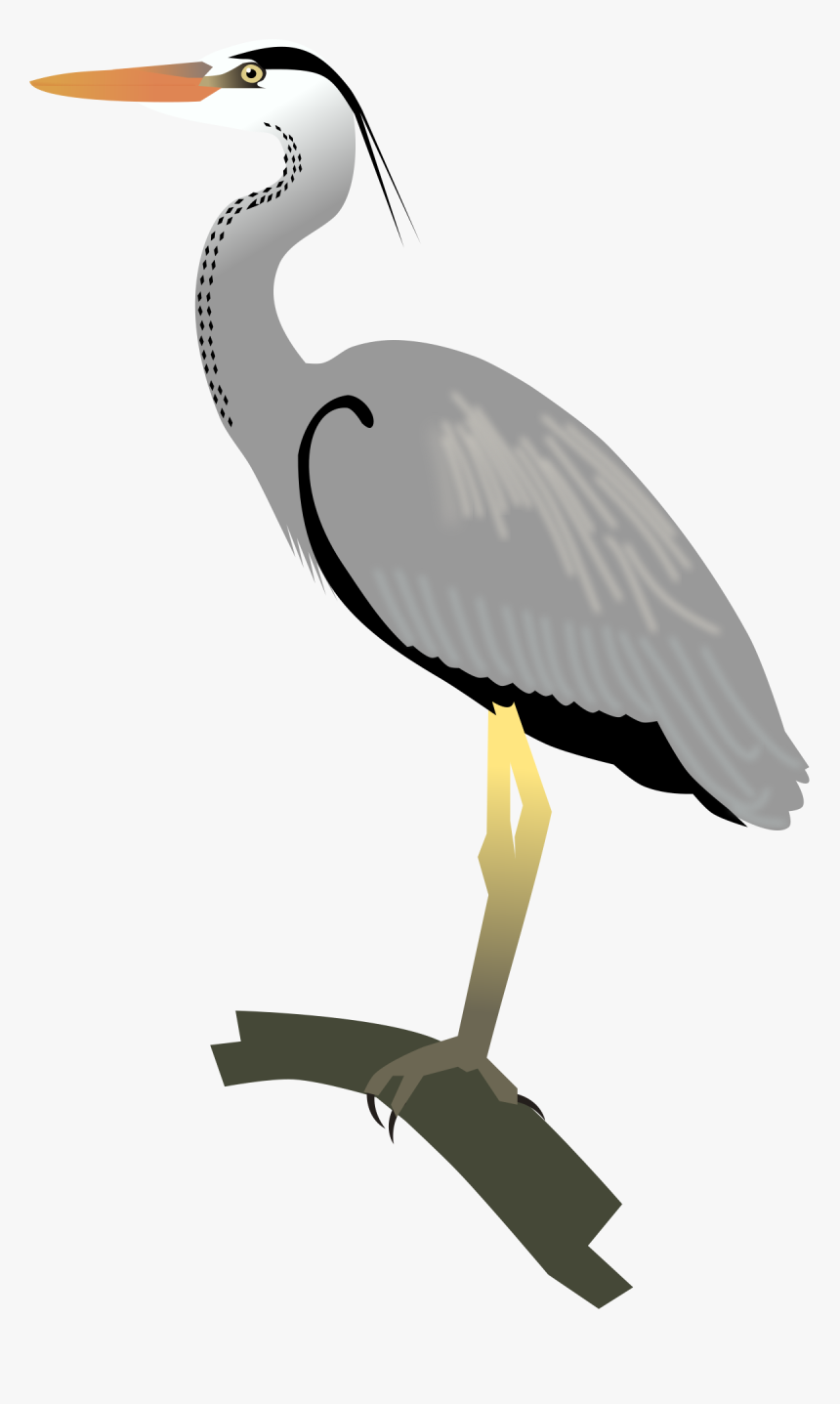 Grey Heron Png, Transparent Png, Free Download