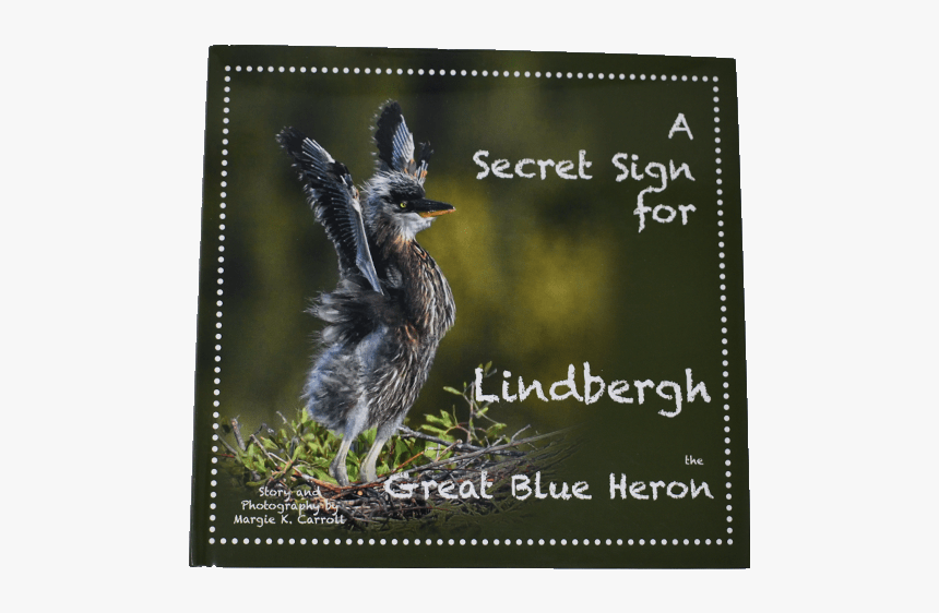 Lindberg Great Blue Heron Book - Animal, HD Png Download, Free Download