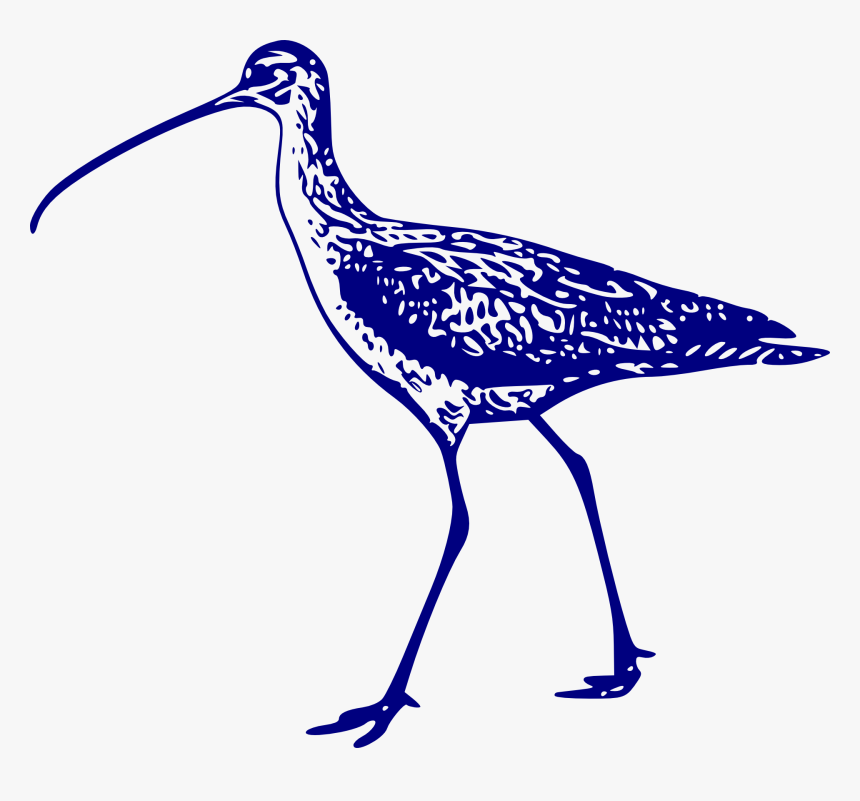 Black And White Clipart Curlew, HD Png Download, Free Download