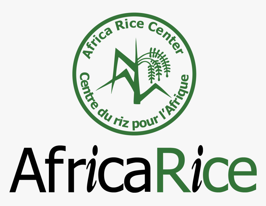 Africa Rice Center, HD Png Download, Free Download