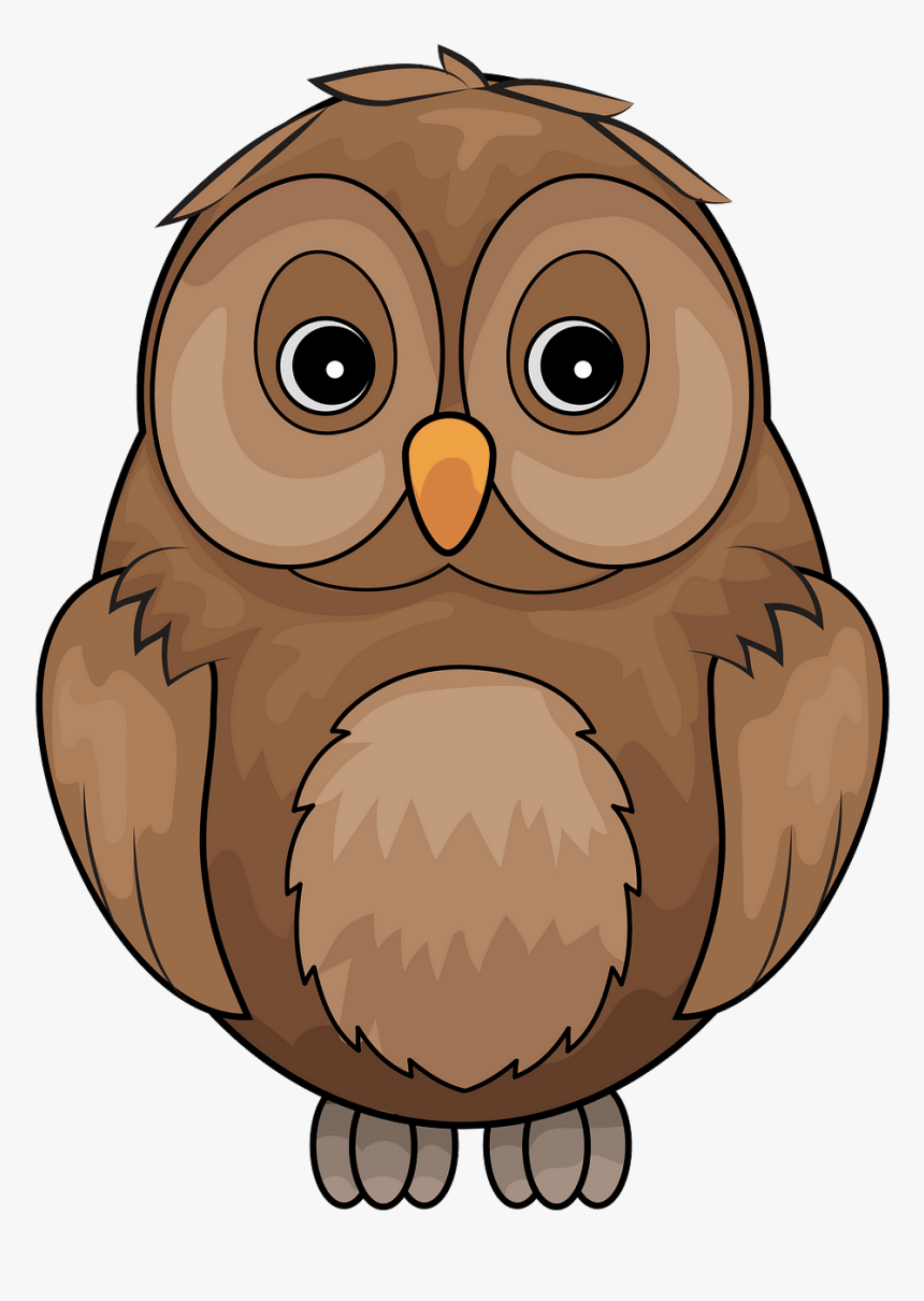 Brown Owl Clipart - Clipart Of A Owl, HD Png Download, Free Download