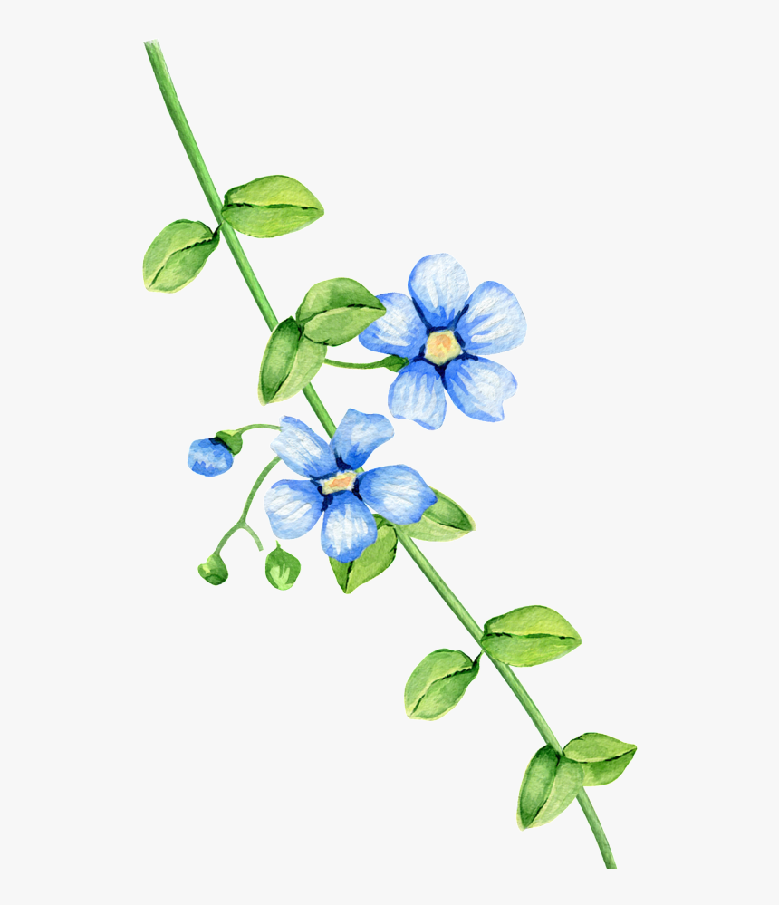 Transparent Cartoon Flowers - Flower, HD Png Download, Free Download