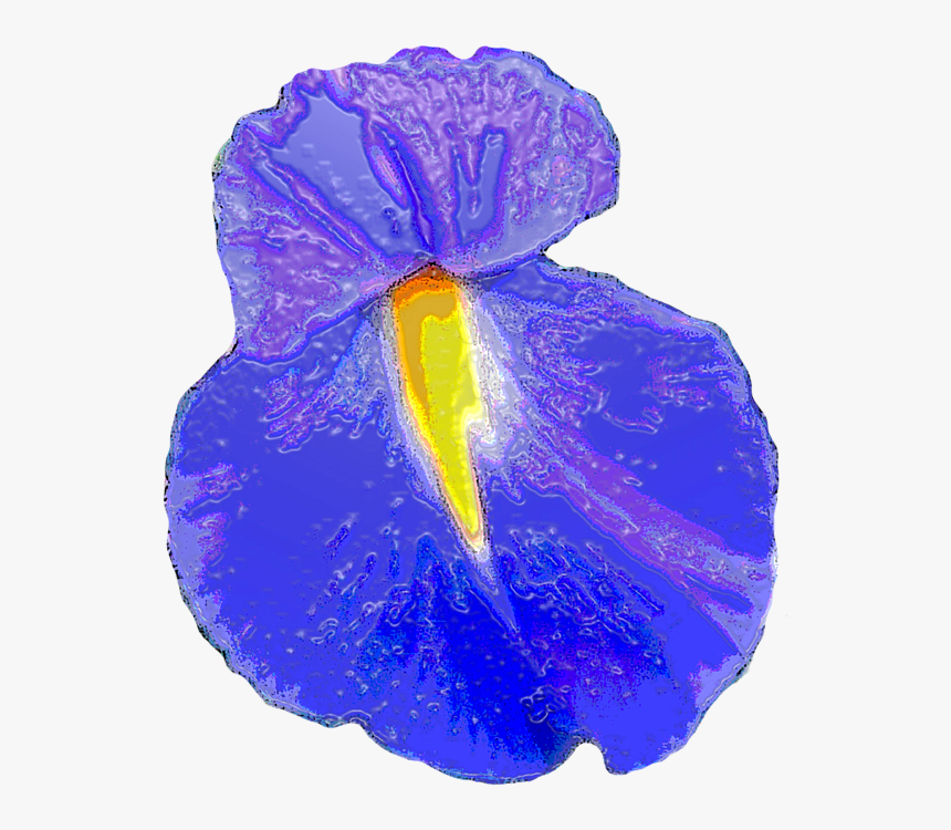 Iris, HD Png Download, Free Download