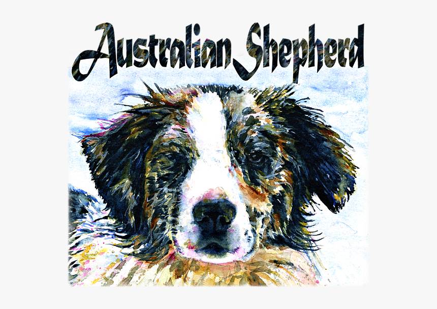 Australian Collie, HD Png Download, Free Download