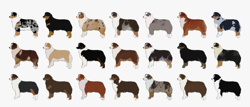 Lots Of Australian Shepherd Cartoon Dogs - Aussie Colors, HD Png Download, Free Download