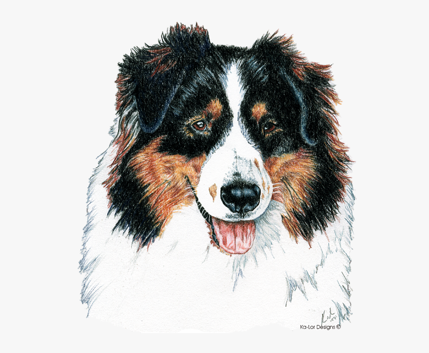 Australian Shepherd Cross Stitch Designs, HD Png Download, Free Download