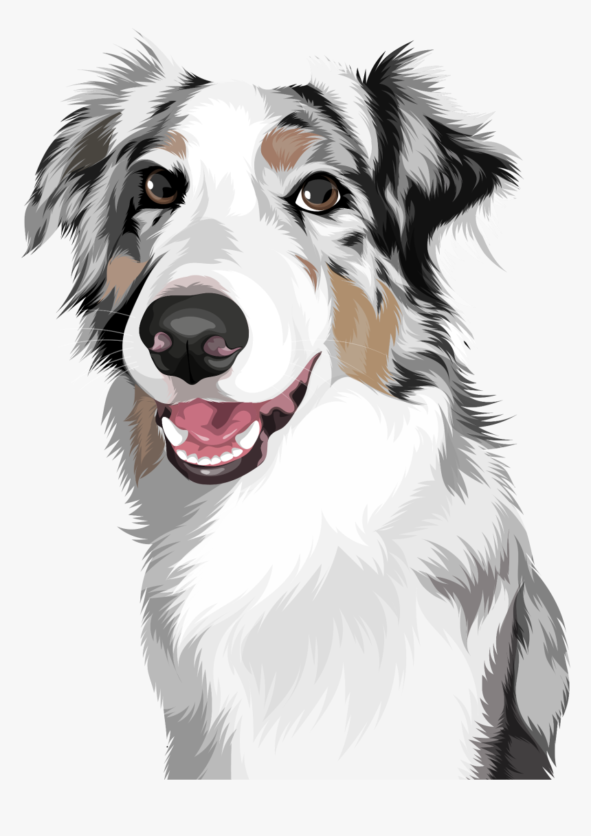 Australian Shepherd, HD Png Download, Free Download