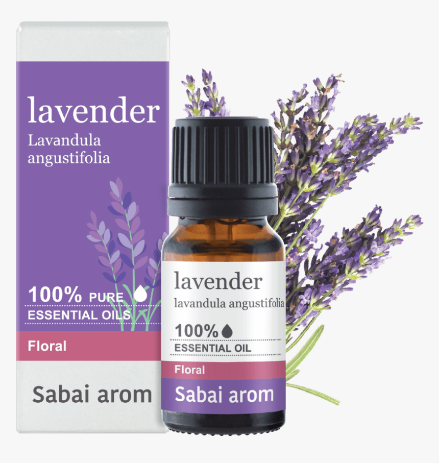 Lavender Essential Oil, HD Png Download, Free Download