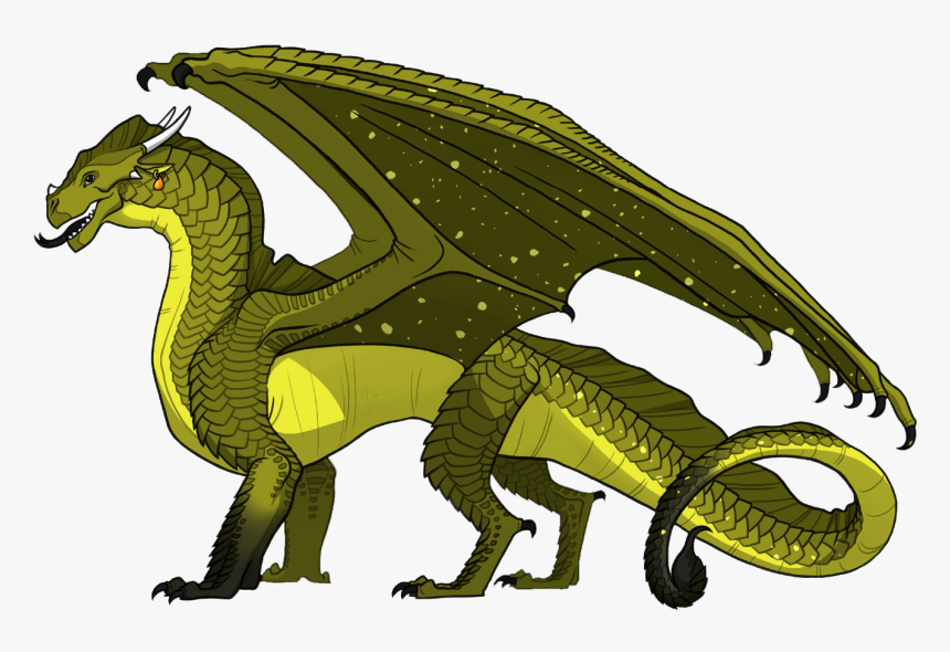 Wings Of Fire Wiki - Wings Of Fire Sandwing Nightwing Hybrid, HD Png Download, Free Download