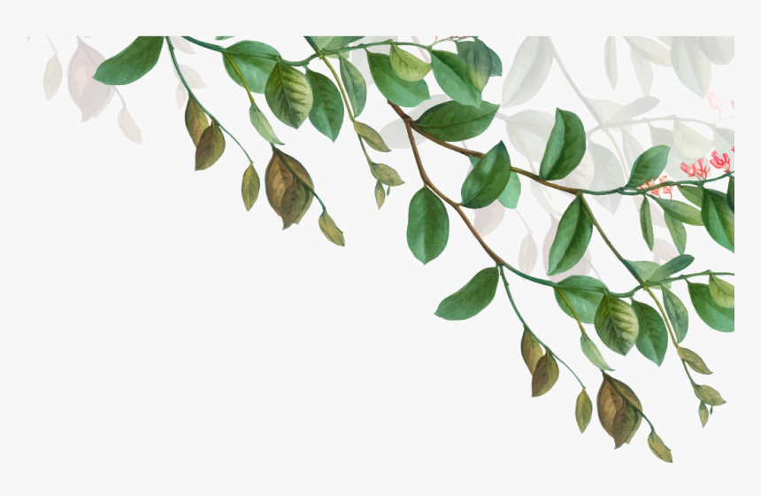 Splash-branch - Design, HD Png Download, Free Download