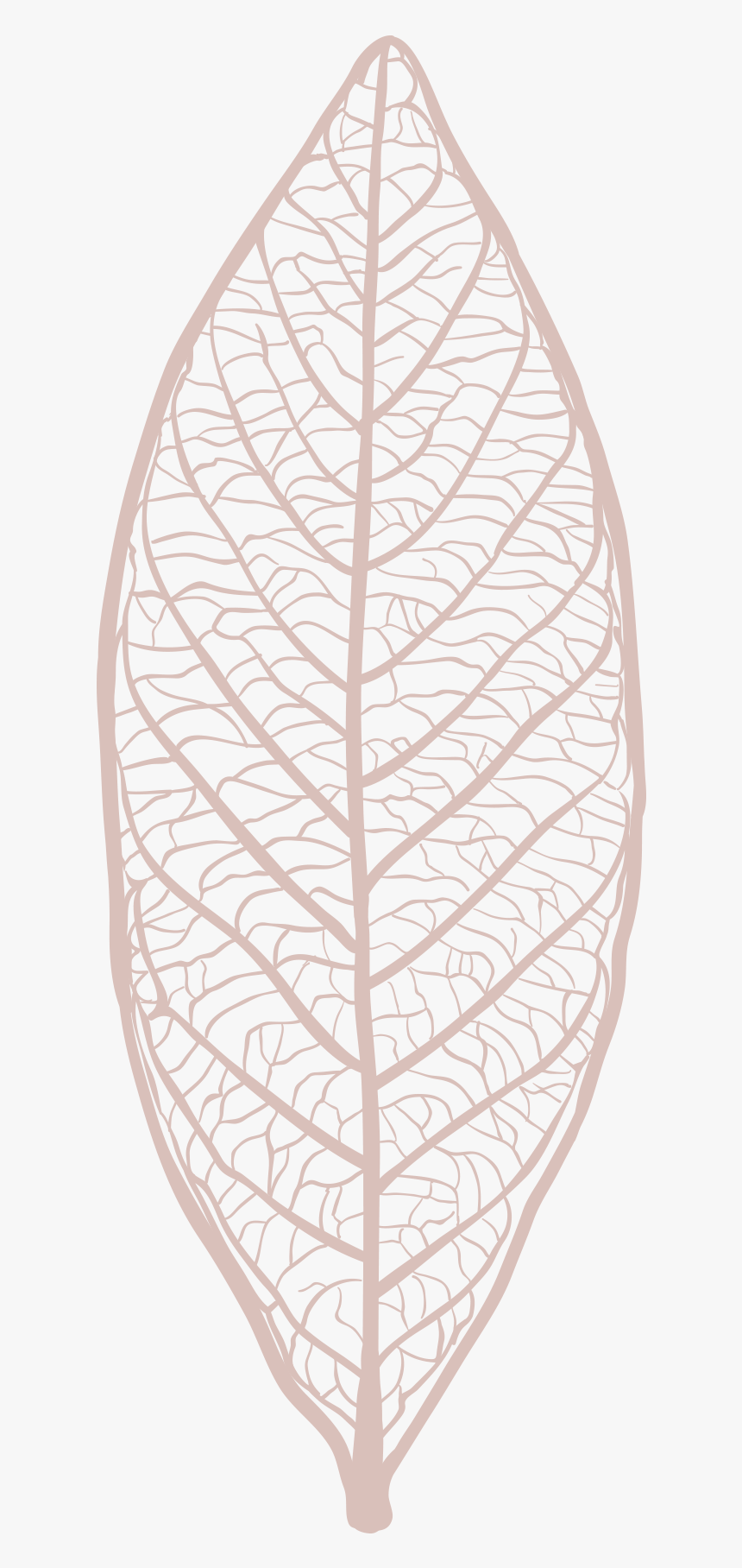 Wood, HD Png Download, Free Download