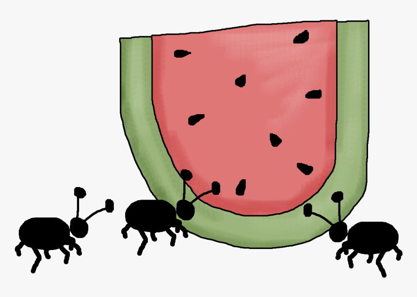 Watermelon Ants Png - Cartoon, Transparent Png, Free Download
