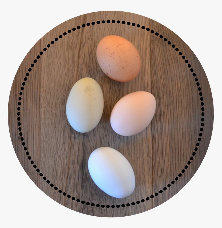 Chicken Eggs Wood, HD Png Download, Free Download