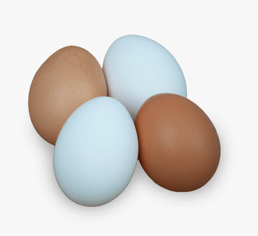 Egg Png Download - Egg, Transparent Png, Free Download