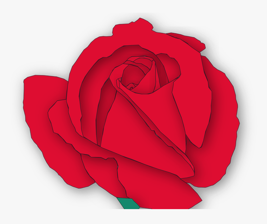 Rose Flower Flora Free Vector Graphic On Pixabay - Floribunda, HD Png Download, Free Download