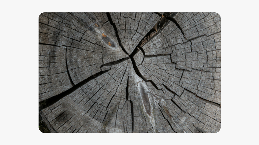 Dried Tree Stump Doormat - Plank, HD Png Download, Free Download