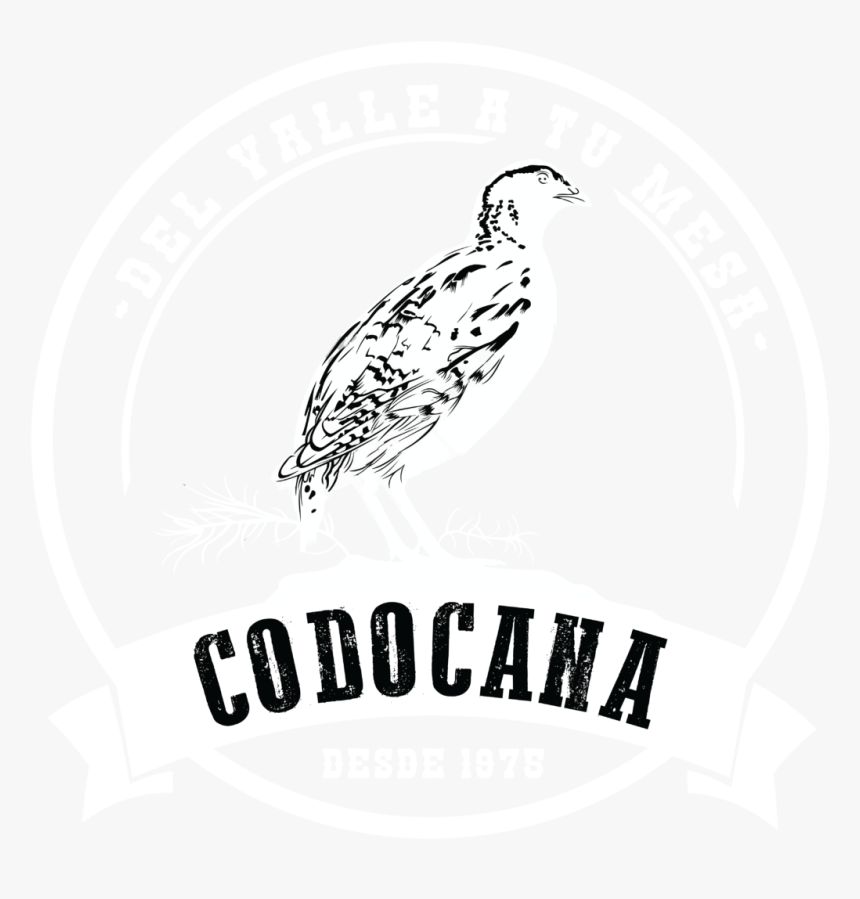 Codocana, HD Png Download, Free Download