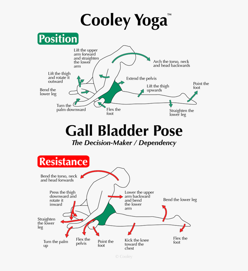 Yoga Poses Png , Png Download - Genius Of Flexibility, Transparent Png, Free Download