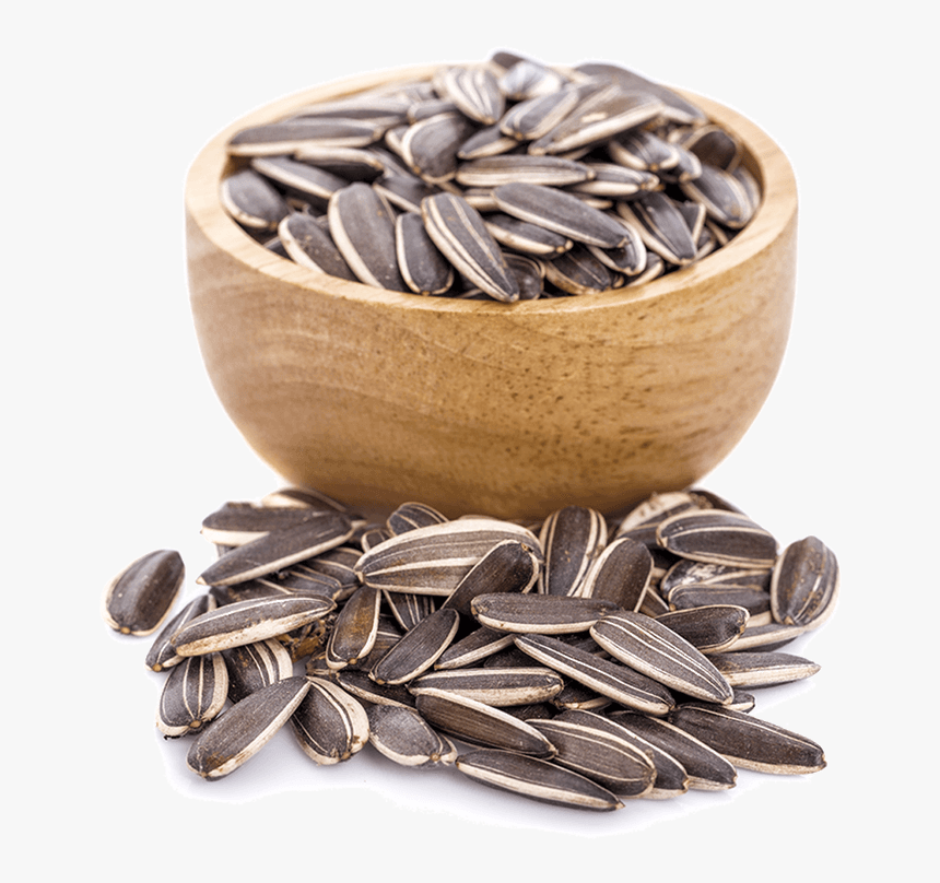 Sunflower-2 - Sunflower Seed, HD Png Download, Free Download