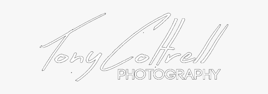 Calligraphy, HD Png Download, Free Download