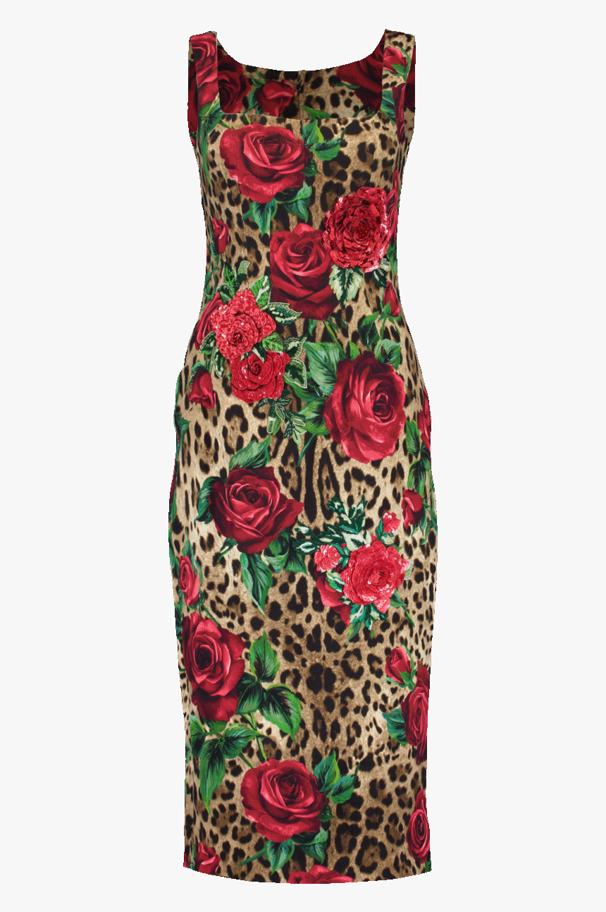 Dolce And Gabbana Floral Leopard Dress, HD Png Download, Free Download